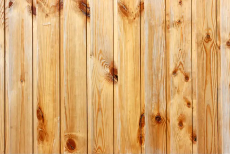what is knotty pine